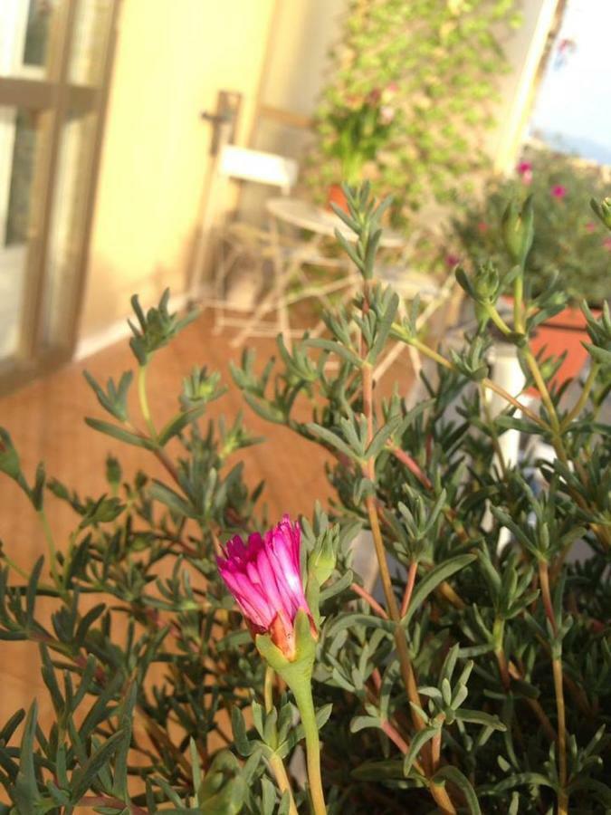 Leucosia Bed & Breakfast ซาแลร์โน ภายนอก รูปภาพ